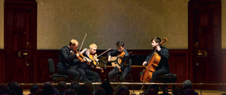 This is a small view of the Fibonacci Quartet